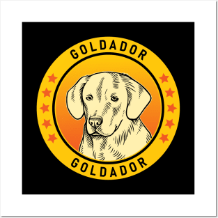 Goldador Dog Portrait Posters and Art